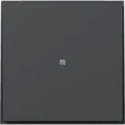 Gira 349067 Wippe gerade Kontrollfenster TX_44 Anthrazit