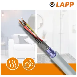 Lapp 50 Meter 1591301 Telefonkabel 2x2x0,6 mm J-Y(ST) Y Telefonleitung 2x2x0,6 geschirmt I Fernmelde, Telefon Zubehör