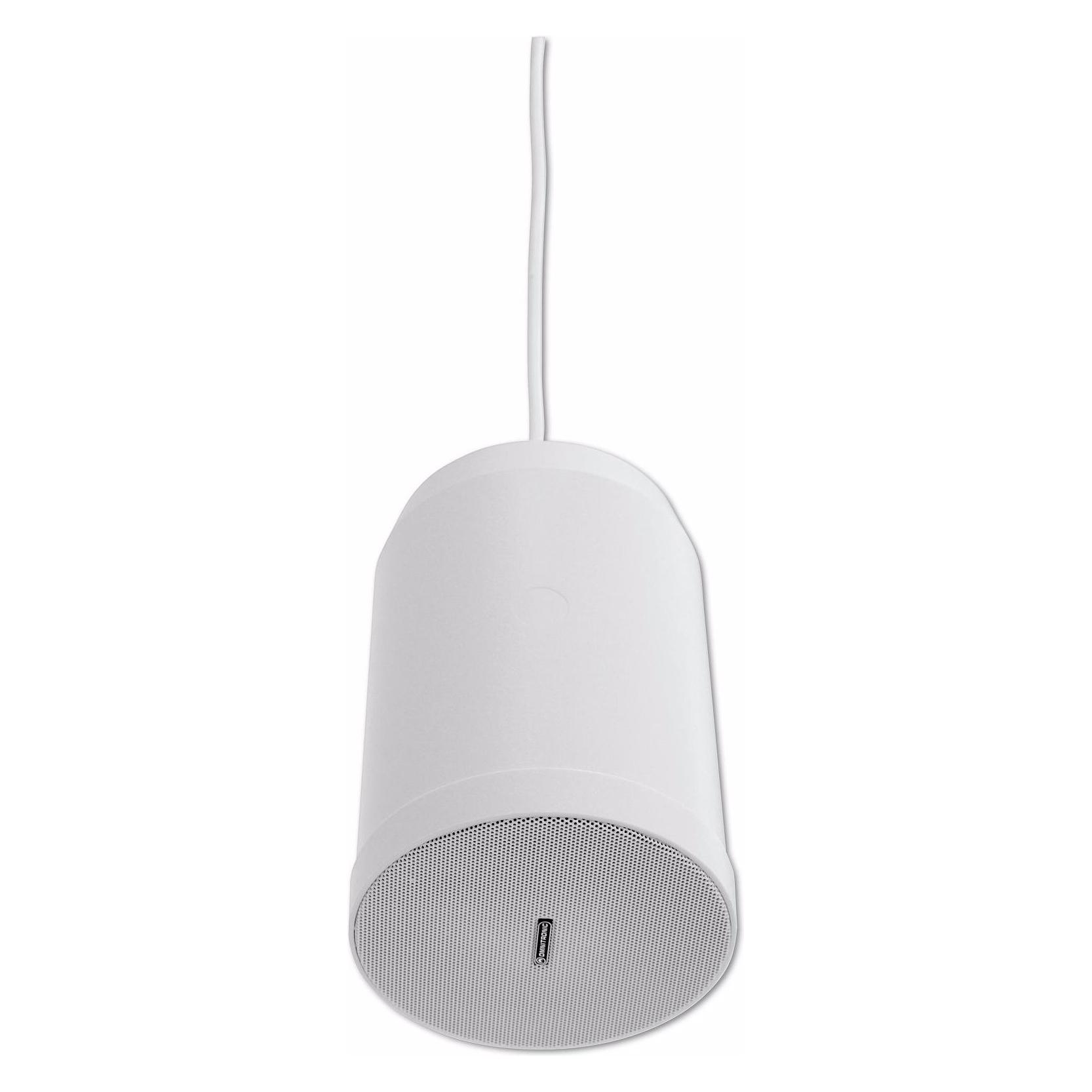 Omnitronic WP-10W (1 Stk.) (80710404)