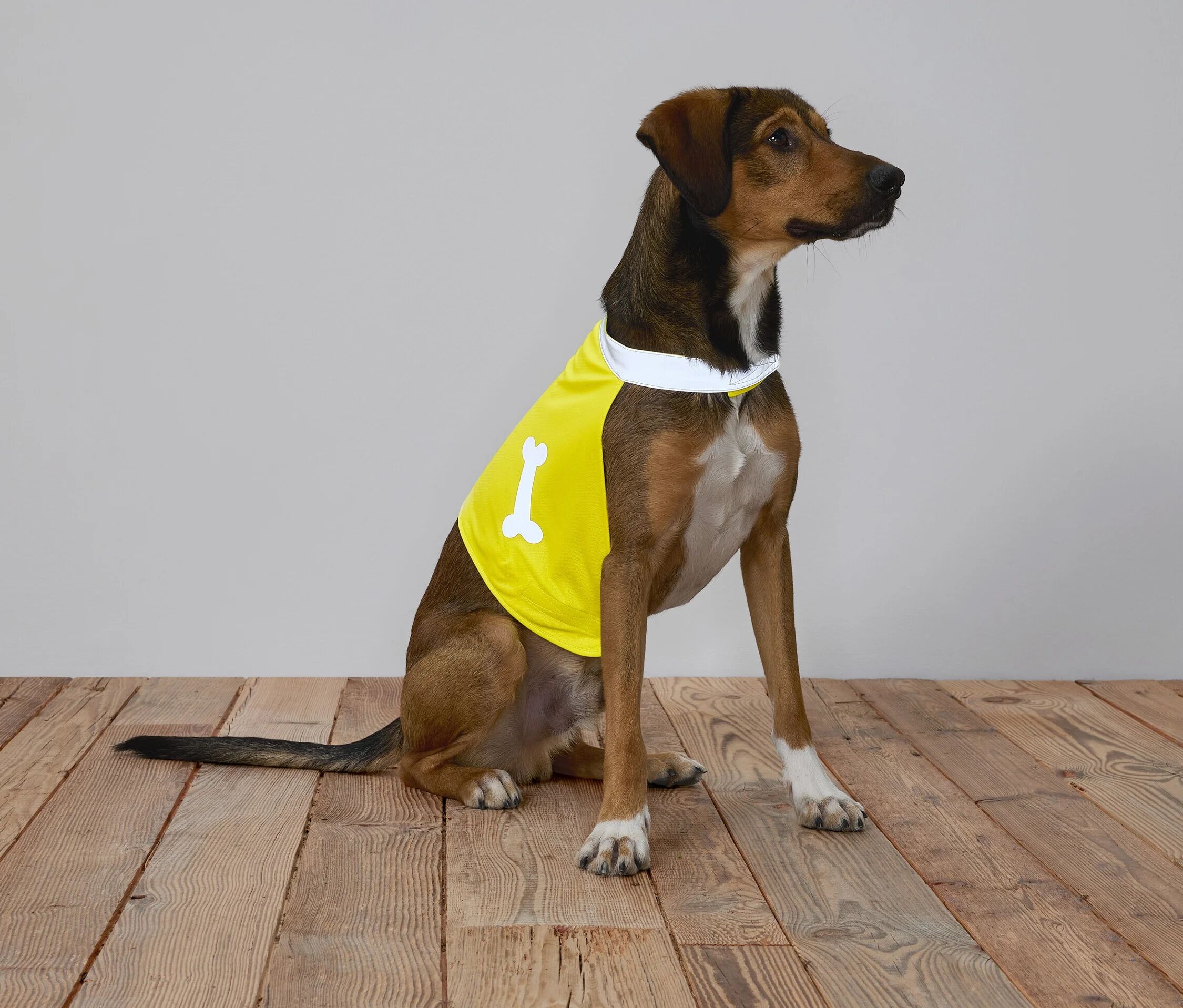 Tchibo - Hunde-Leuchtweste - gelb