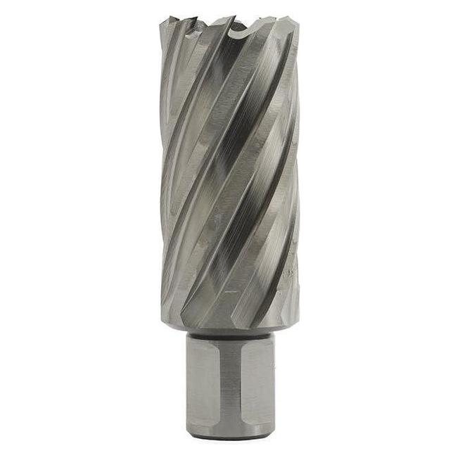 Euroboor 21005502001004 HCL.200 Kernbohrer, HSS, D 20 mm, DoC 55 mm, Weldon (20 mm) (HCL.200)