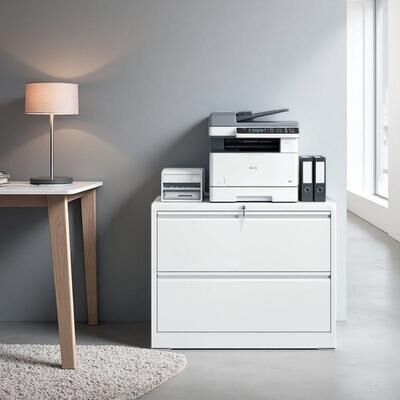 VIVIADORE 2 Drawer Steel Lateral File Cabinet with Lock,Anti-Tip Safety System,Full Extension Drawers for Letter Legal A4 F4 Hanging Files