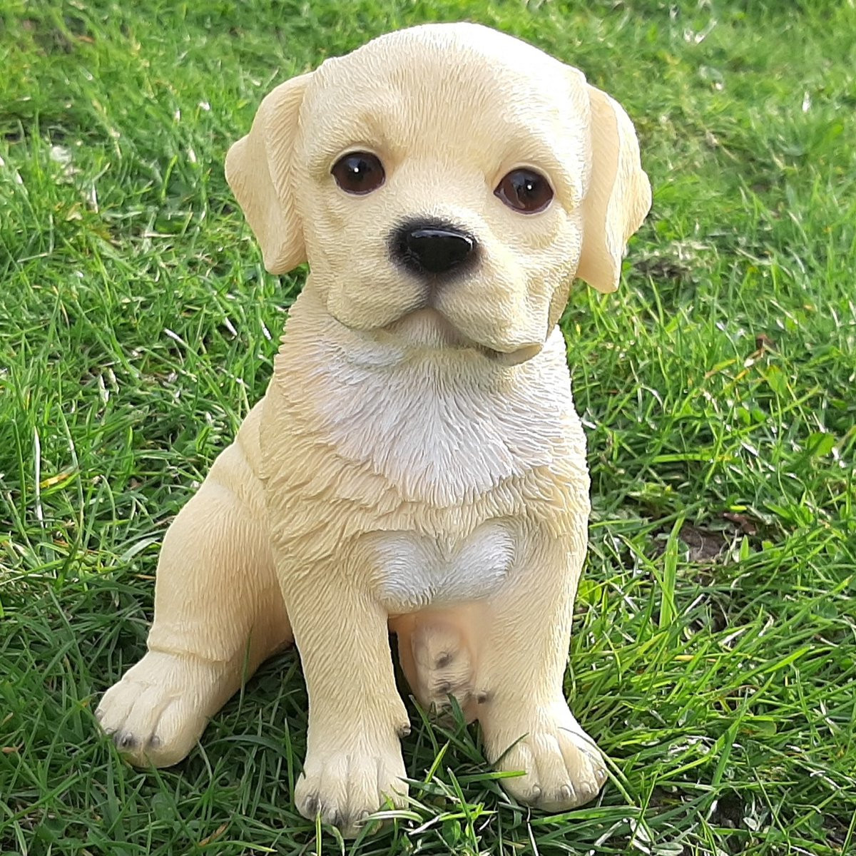 Beeldje blonde Labrador Retriever pup zittend van Fame Musthaves