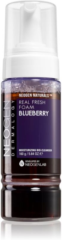 Neogen Dermalogy Real Fresh Blueberry hydrating cleansing foam 160 g
