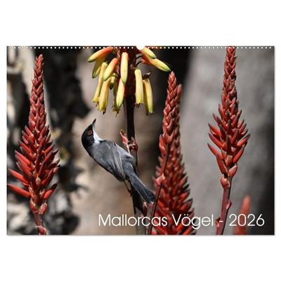 Mallorcas Vögel (Wandkalender 2026 DIN A2 quer), CALVENDO Monatskalender