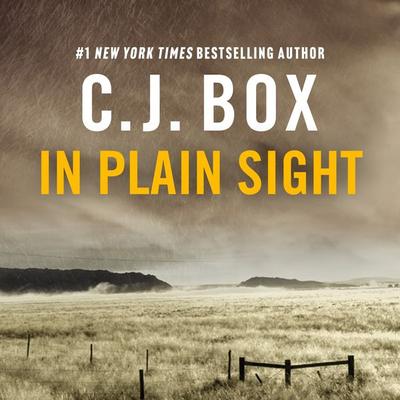 In Plain Sight - C.J. Box, Audio, 9781035908363