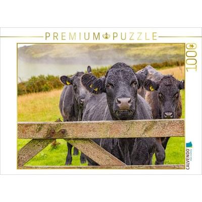 CALVENDO Puzzle Kühe im Exmoor Nationalpark | 1000 Teile Lege-Größe 64x48cm Foto-Puzzle für glückliche Stunden