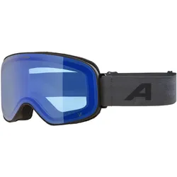 Alpina, Skibrille