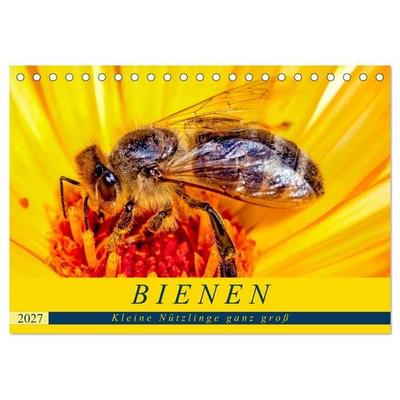 BIENEN - Kleine Nützlinge ganz groß (Tischkalender 2027 DIN A5 quer), CALVENDO Monatskalender