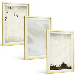 BILDER SET 3er Set - 40x60 cm Goldrahmen - Vögel, Steine, Pinselstriche, Verzierungen