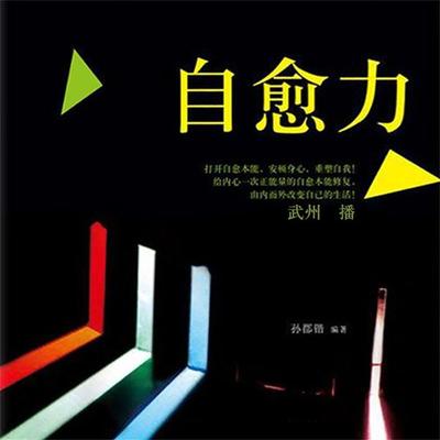 自愈力 - 孙郡锴, Audio, 4099995944921