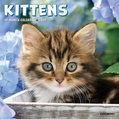 Kittens 2026 Mini Wall Calendar