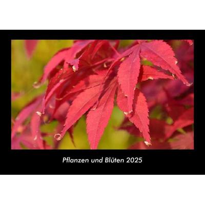 Pflanzen und Blüten 2025 Fotokalender DIN A3