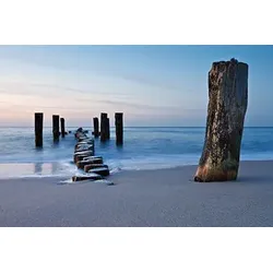 Bild SEASIDE S (BHT 150x100x3 cm) - bunt - BHT 150x100x3 cm