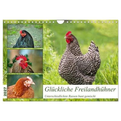 Glückliche Freilandhühner (Wandkalender 2027 DIN A4 quer), CALVENDO Monatskalender