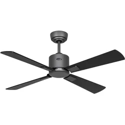 DC Deckenventilator Neo III WiFi 103 BG SW-TK