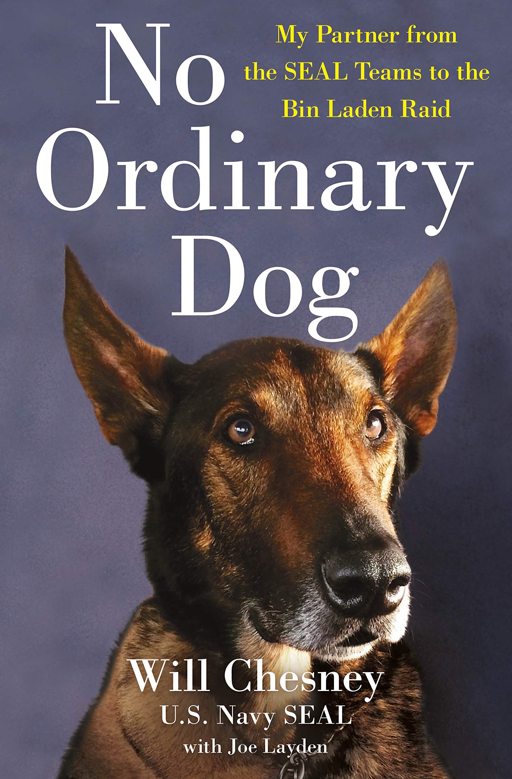 Will Chesney - No Ordinary Dog: My Partner from the Seal Teams to the Bin Laden Raid - Preis vom 13.10.2026 11:25:28 h