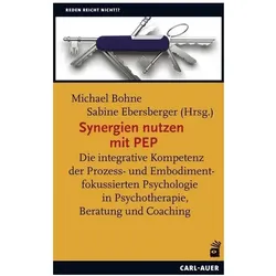 Synergien nutzen mit PEP, Fachbücher von Sabine Ebersberger, Michael Bohne