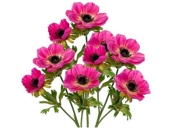 Kunstblumen 3er Set Anemonen Rosa 55 cm, Kunststoff, 55 cm, Dekoration, Blumen & Blumentöpfe, Kunstblumen