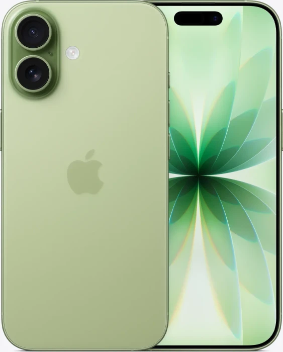 iPhone 17 256 GB Salbei