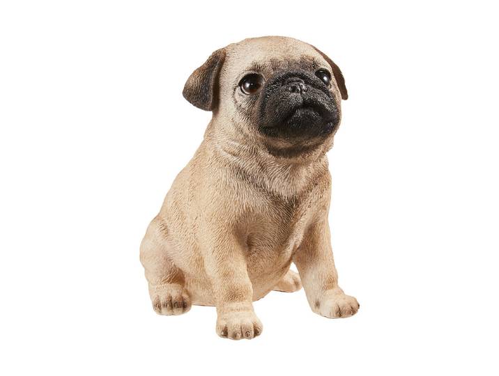 Vivid Mops Welpe Polyresin 16 × 11 × 15 cm