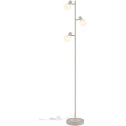 Globo, Stehlampe, Planta (E14)