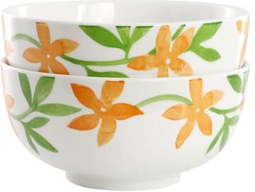 Gibson 2 Piece Fine Ceramic Cereal Bowl Set in Orange Floral