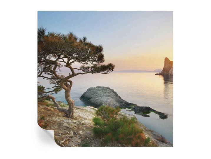 Wallfluent Fototapete 250x250 cm - Friedliche Natur, Blau, 250x250 cm, Tapeten & Wandverkleidungen, Fototapeten