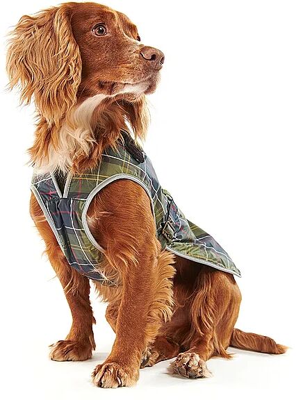 BARBOUR Hundemantel dunkelgrün   L B