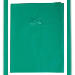 Calligraphe 10x Heftumschlag 24x32 grun- Grün 72405C