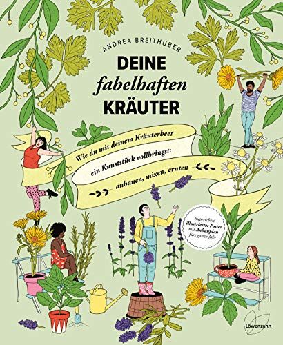 Andrea Breithuber - Deine fabelhaften Kräuter: Wie du mit deinem Kräuterbeet ein Kunststück vollbringst: anbauen, mixen, ernten - Preis vom 15.10.2026 23:06:25 h