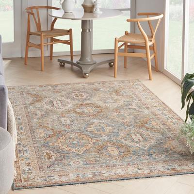 Nourison Petra Traditional Vintage Persian Area Rug