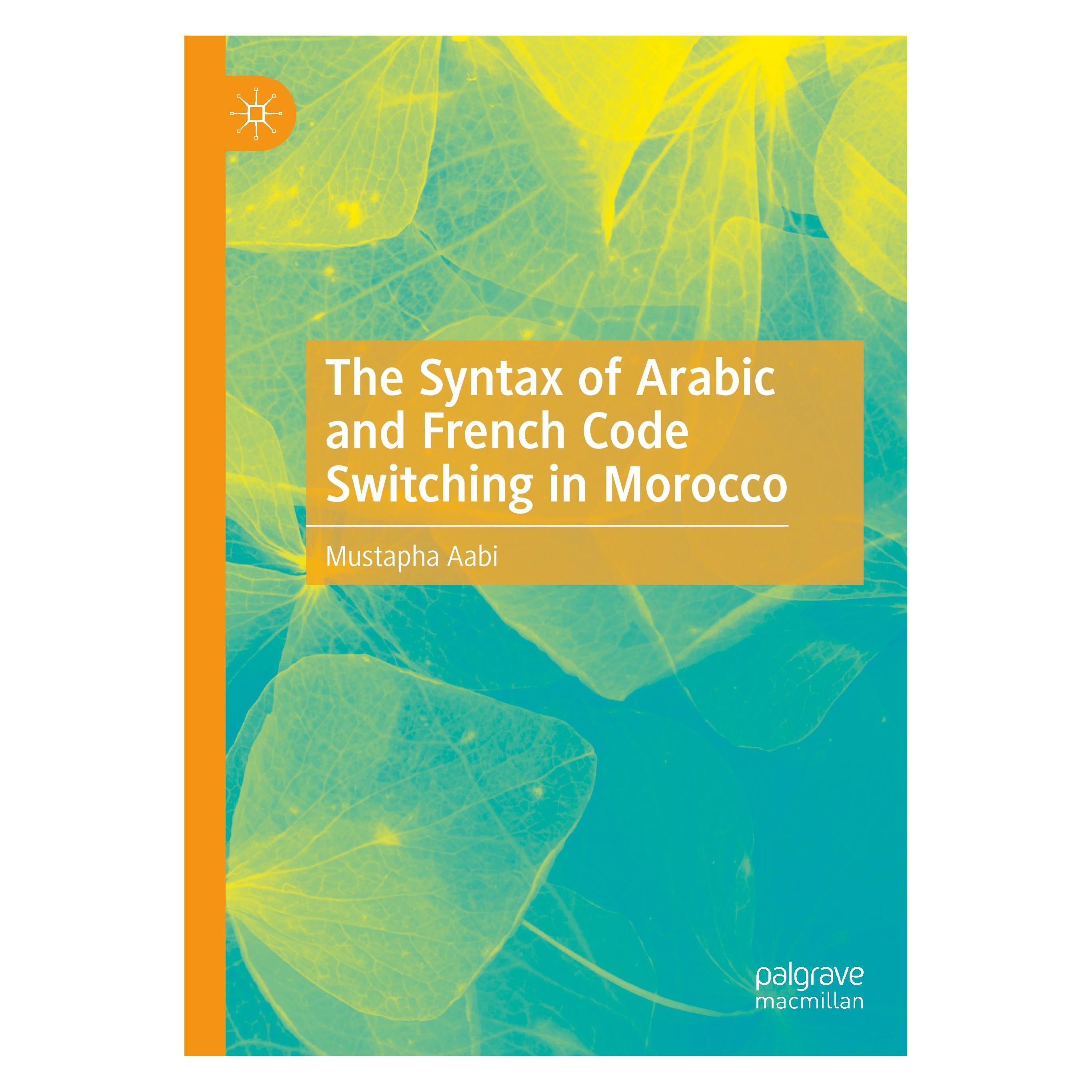 Springer The Syntax of Arabic and French Code Switching in Morocco (Englisch, Hardcover, Mustapha Aabi) (9783030248499)