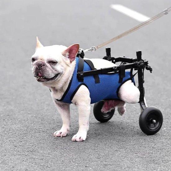 Hundemobil - Hilfsmittel für Hunde - Wiederherstellung der Mobilität - Verstellbares Design - Größe M - Grau