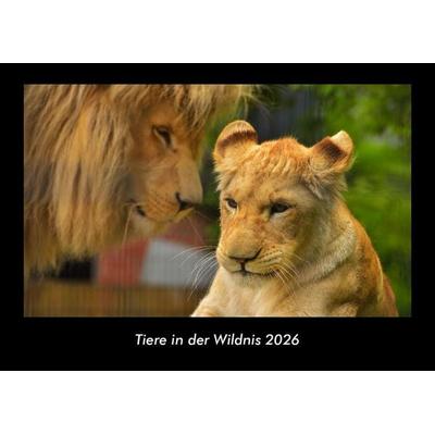Tiere in der Wildnis 2026 Fotokalender DIN A3