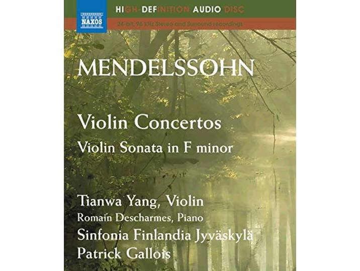Violinkonzerte