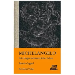 Michelangelo, Sachbücher von Martin Gayford