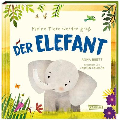 Kleine Tiere werden groß - Der Elefant, Gebundene Ausgabe von Anna Brett, Carlsen, 978-3-551-25497-9