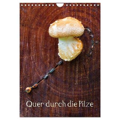 Quer durch die Pilze (Wandkalender 2027 DIN A4 hoch), CALVENDO Monatskalender