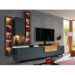 Musterring TV-Lowboard Q-Media 2.0 Holz Grau