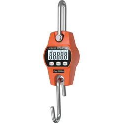 SF 916-300 - Kranwaage SF-916, digital, bis 300,0 kg