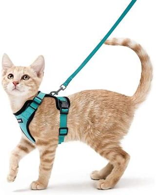Uplifted Finds ATUBAN Escape Proof Cat Harness And Leash Set With Breathable Reflective Vest green xs