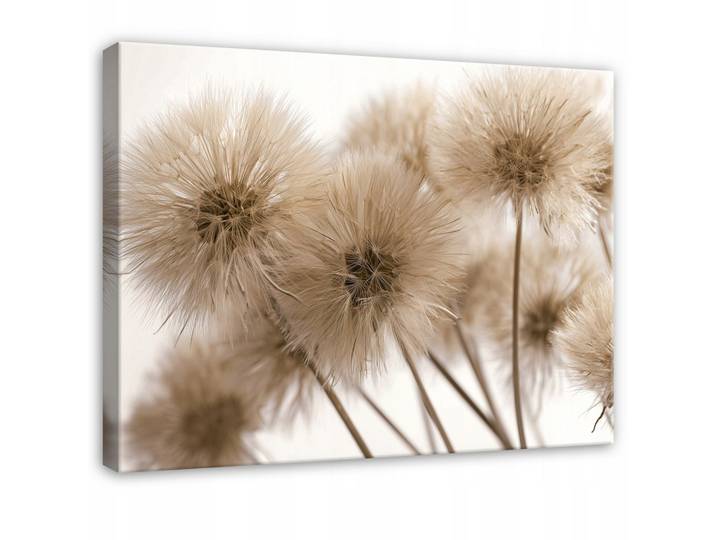 LEINWANDBILD Pusteblumen Blumen Beige 120x80 cm