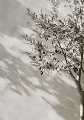 Inspire Curations Retro Olive Tree & Lemon Canvas Poster Vintage Botanical Kitchen & Home Wall Art 2507291236 20x30cm