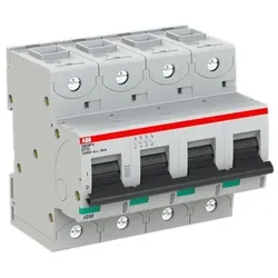 ABB Stotz S&amp;J Strangsicherung S804PV-SP32