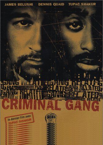 Criminal Gang - Preis vom 11.10.2026 03:10:56 h