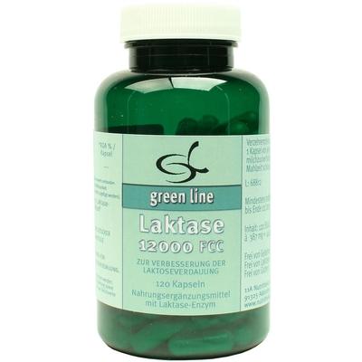 Laktase 12.000 FCC Kapseln 120 St