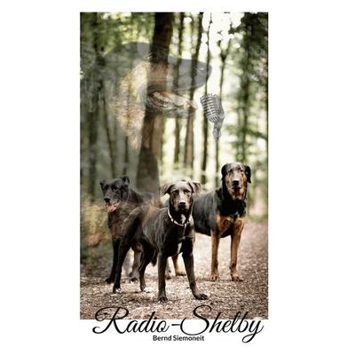 Radio-Shelby, Taschenbuch von Bernd Siemoneit, BoD – Books on Demand, 978-3-7557-4872-4