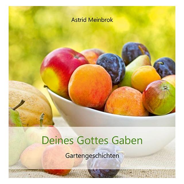 Agentur Rauhen Hauses Meinbrok:Deines Gottes Gaben (Deutsch, Astrid Meinbrok, 2023) (40676882)