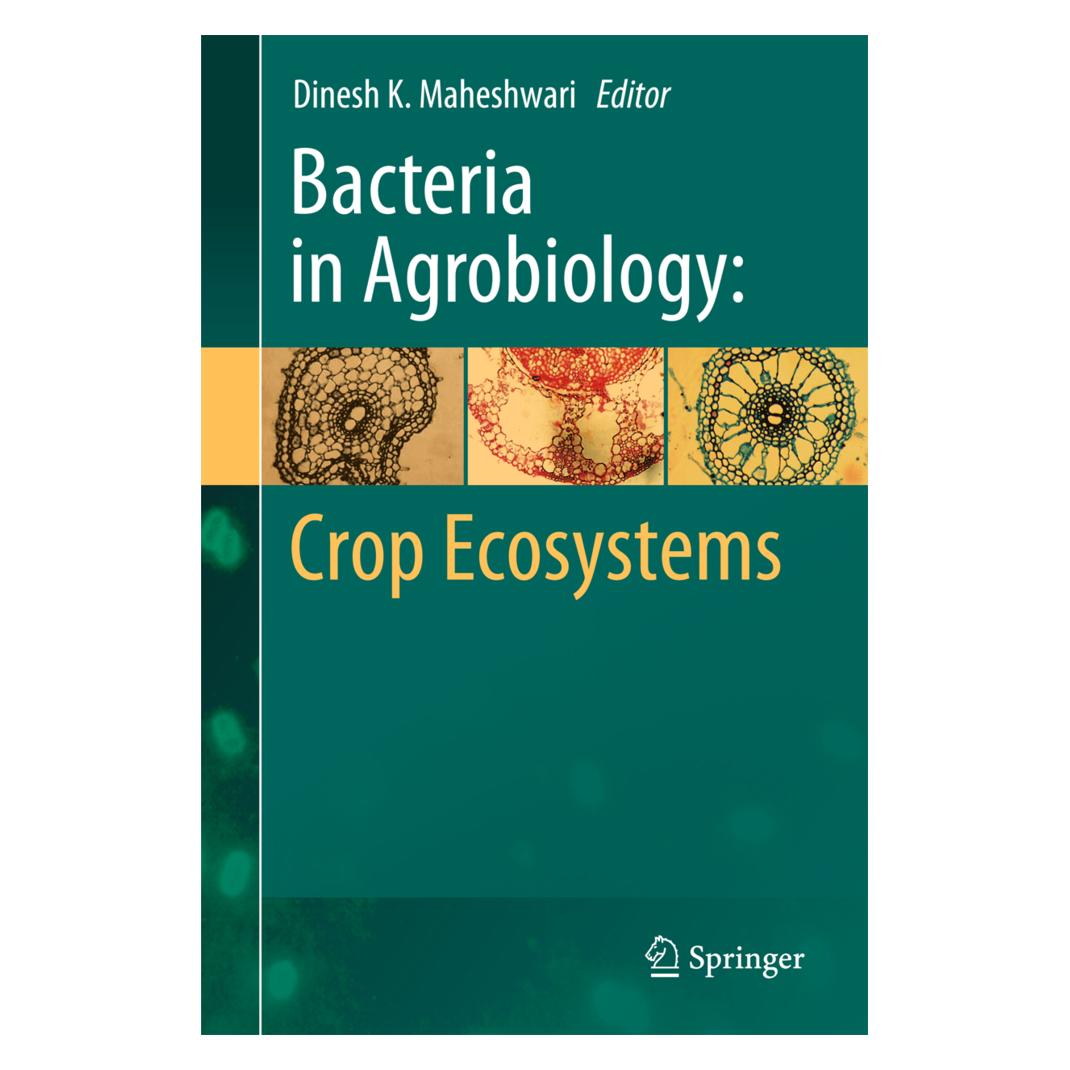 Springer Bacteria in Agrobiology: Crop Ecosystems (Englisch, Softcover, Dinesh K. Maheshwari) (55574234)